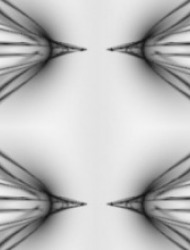 Quantum Computation and Optimization Group