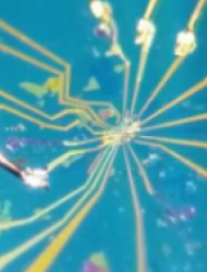 The Low-Dimensional Laboratory The Low-Dimensional Laboratory