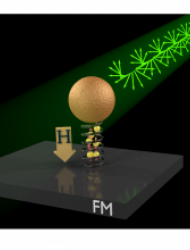 The Quantum Nano Engineering Laboratory paltiel_logo