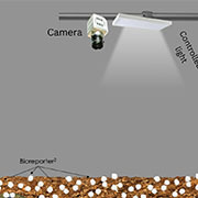 mine detector
