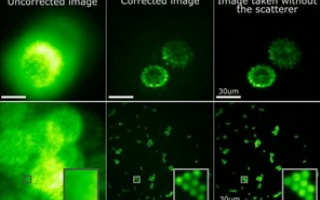 Megapixel fluorescence microscopy through scattering layers made simple