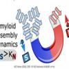Israeli research reveals: Electron spin influences the formation of Alzheimer's proteins