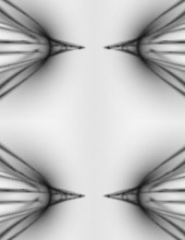 Quantum Computation and Optimization Group